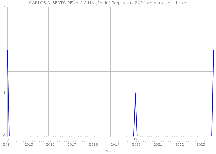 CARLOS ALBERTO PEÑA SICILIA (Spain) Page visits 2024 