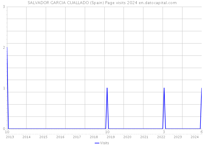 SALVADOR GARCIA CUALLADO (Spain) Page visits 2024 