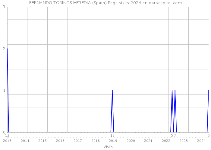 FERNANDO TORINOS HEREDIA (Spain) Page visits 2024 