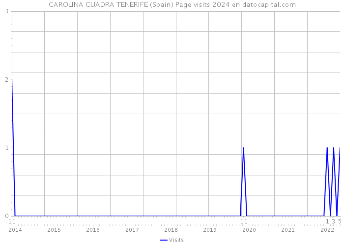CAROLINA CUADRA TENERIFE (Spain) Page visits 2024 