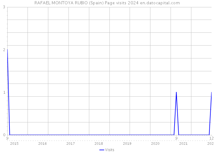 RAFAEL MONTOYA RUBIO (Spain) Page visits 2024 