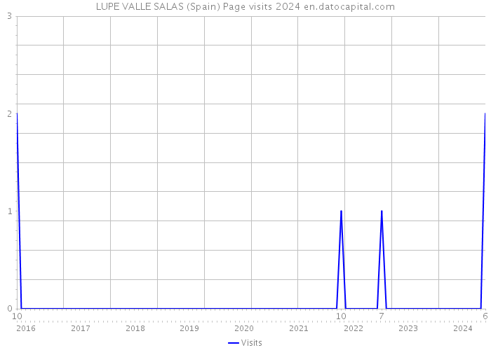 LUPE VALLE SALAS (Spain) Page visits 2024 