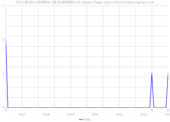 RIO NEGRO GENERAL DE INGENIERIA SL (Spain) Page visits 2024 