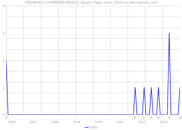 FERNANDO GURMENDI MADOZ (Spain) Page visits 2024 
