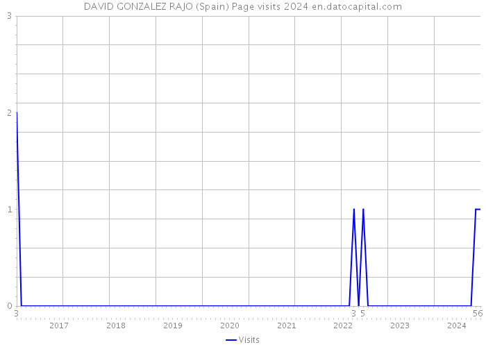 DAVID GONZALEZ RAJO (Spain) Page visits 2024 