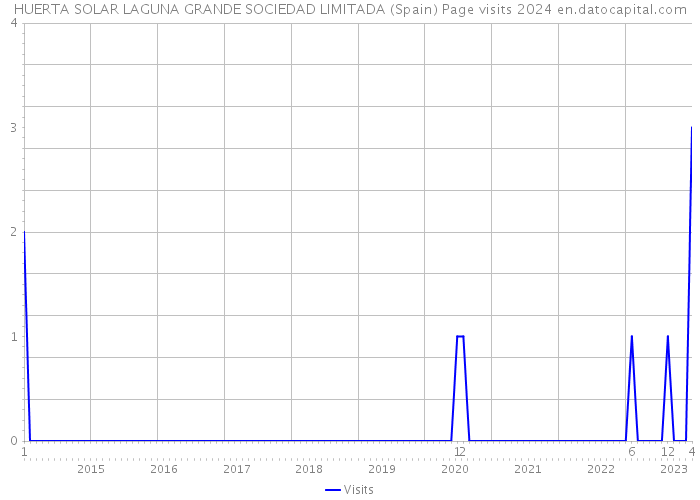 HUERTA SOLAR LAGUNA GRANDE SOCIEDAD LIMITADA (Spain) Page visits 2024 
