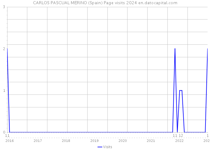 CARLOS PASCUAL MERINO (Spain) Page visits 2024 