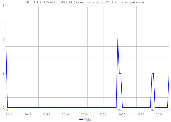 VICENTE GUZMAN PEDREGAL (Spain) Page visits 2024 