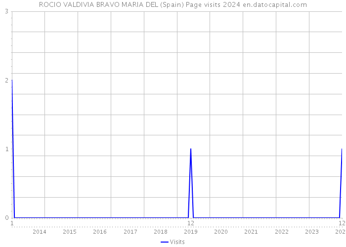 ROCIO VALDIVIA BRAVO MARIA DEL (Spain) Page visits 2024 