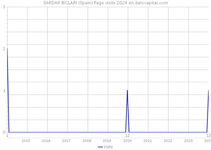 SARDAR BIGLARI (Spain) Page visits 2024 