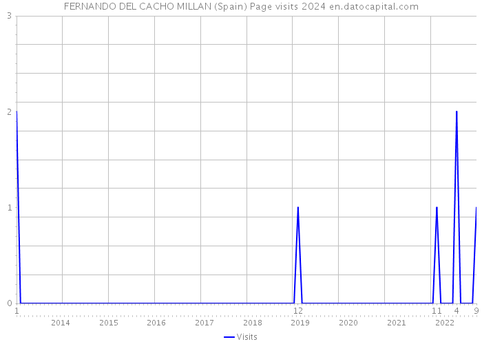 FERNANDO DEL CACHO MILLAN (Spain) Page visits 2024 