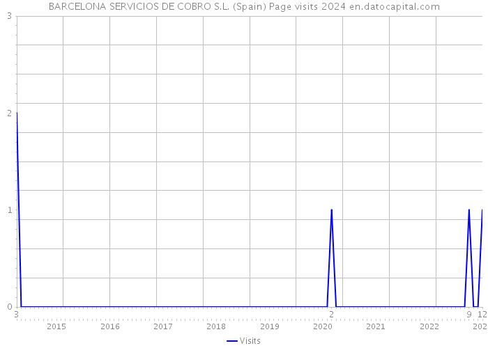 BARCELONA SERVICIOS DE COBRO S.L. (Spain) Page visits 2024 