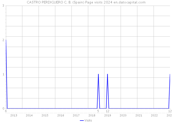 CASTRO PERDIGUERO C. B. (Spain) Page visits 2024 