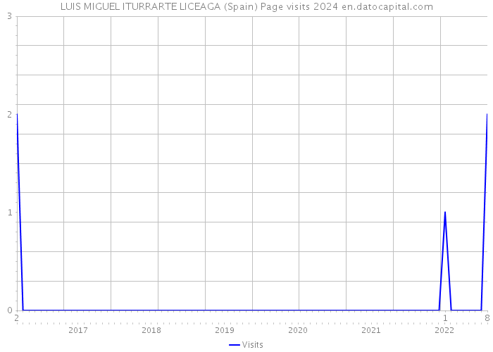 LUIS MIGUEL ITURRARTE LICEAGA (Spain) Page visits 2024 