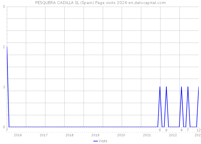 PESQUERA CADILLA SL (Spain) Page visits 2024 