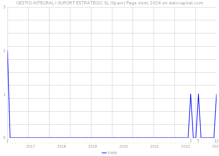 GESTIO INTEGRAL I SUPORT ESTRATEGIC SL (Spain) Page visits 2024 