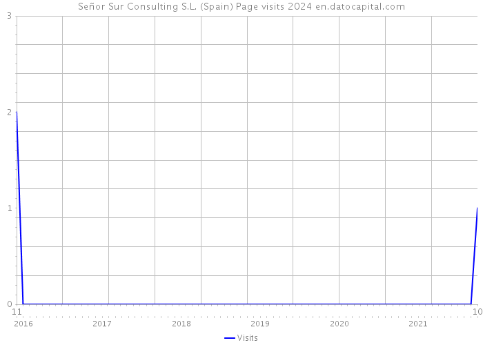 Señor Sur Consulting S.L. (Spain) Page visits 2024 
