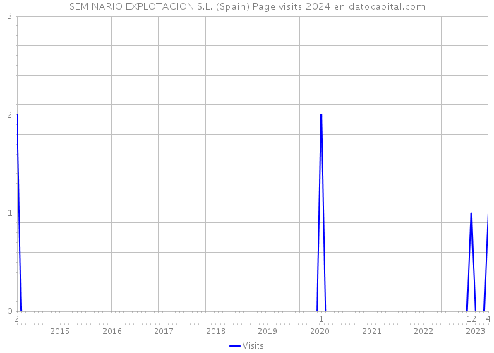SEMINARIO EXPLOTACION S.L. (Spain) Page visits 2024 