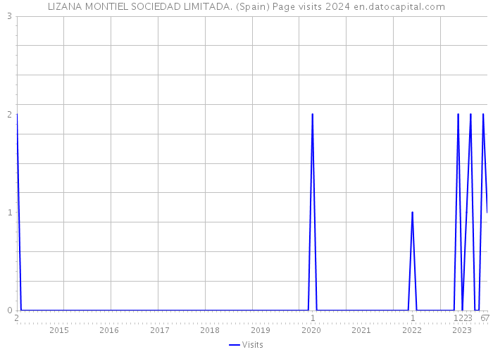 LIZANA MONTIEL SOCIEDAD LIMITADA. (Spain) Page visits 2024 