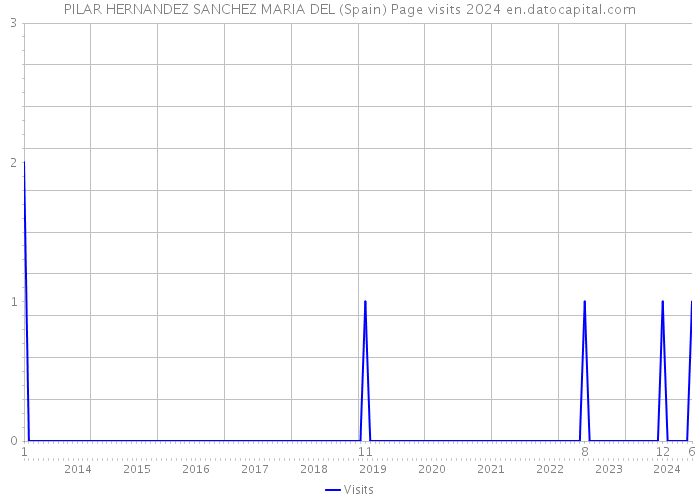 PILAR HERNANDEZ SANCHEZ MARIA DEL (Spain) Page visits 2024 