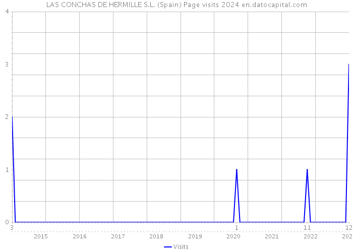LAS CONCHAS DE HERMILLE S.L. (Spain) Page visits 2024 