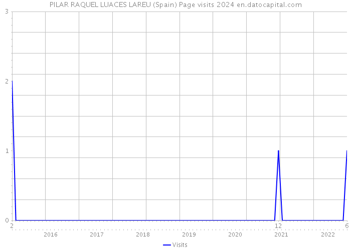 PILAR RAQUEL LUACES LAREU (Spain) Page visits 2024 