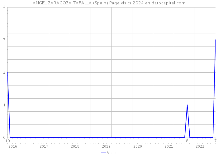 ANGEL ZARAGOZA TAFALLA (Spain) Page visits 2024 