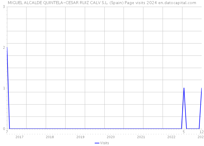 MIGUEL ALCALDE QUINTELA-CESAR RUIZ CALV S.L. (Spain) Page visits 2024 