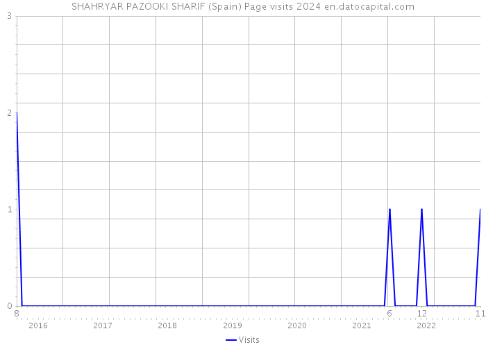 SHAHRYAR PAZOOKI SHARIF (Spain) Page visits 2024 
