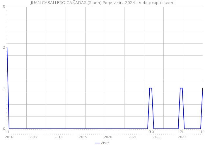 JUAN CABALLERO CAÑADAS (Spain) Page visits 2024 