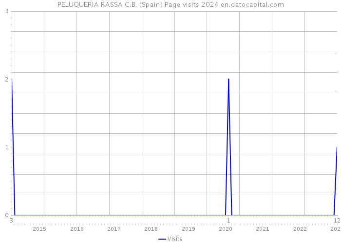 PELUQUERIA RASSA C.B. (Spain) Page visits 2024 
