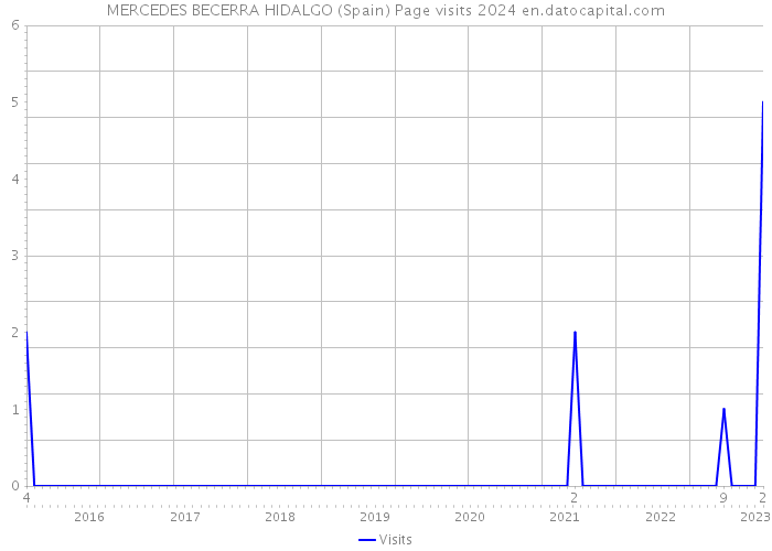 MERCEDES BECERRA HIDALGO (Spain) Page visits 2024 