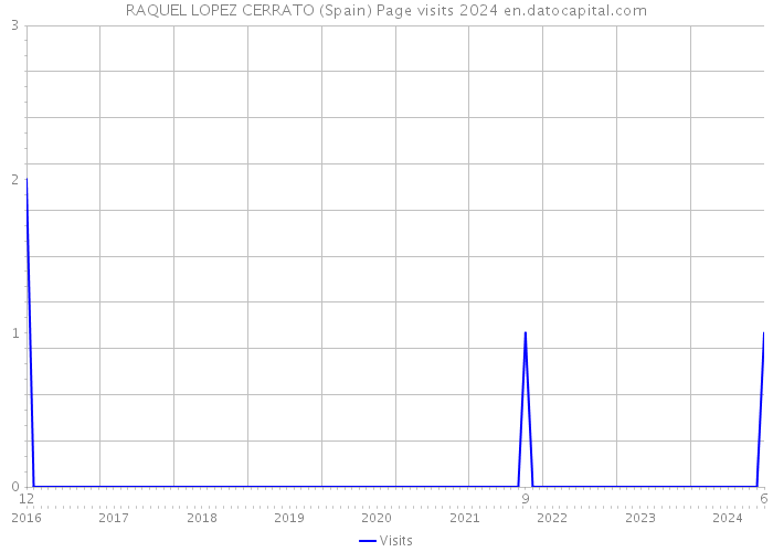 RAQUEL LOPEZ CERRATO (Spain) Page visits 2024 
