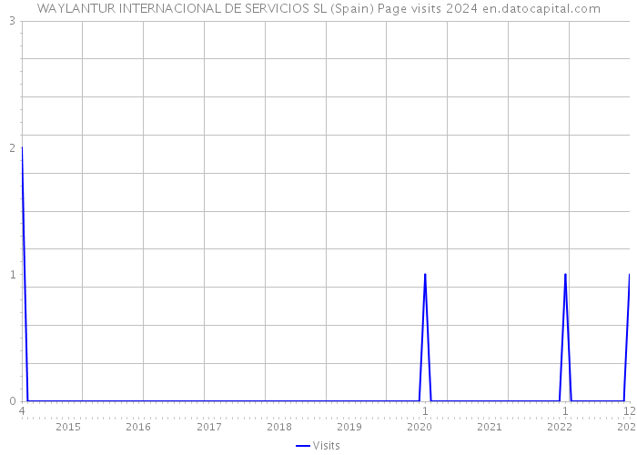 WAYLANTUR INTERNACIONAL DE SERVICIOS SL (Spain) Page visits 2024 