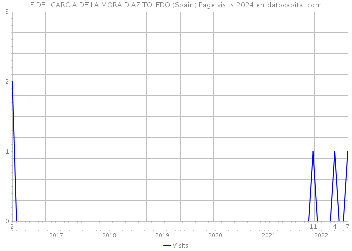 FIDEL GARCIA DE LA MORA DIAZ TOLEDO (Spain) Page visits 2024 