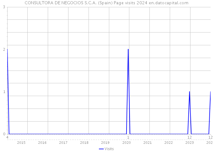 CONSULTORA DE NEGOCIOS S.C.A. (Spain) Page visits 2024 