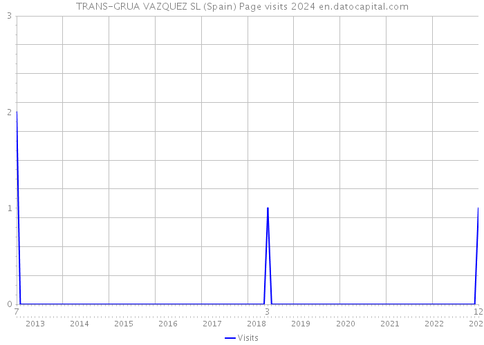 TRANS-GRUA VAZQUEZ SL (Spain) Page visits 2024 