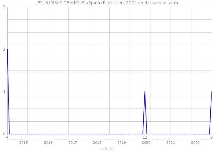 JESUS IRIBAS DE MIGUEL (Spain) Page visits 2024 