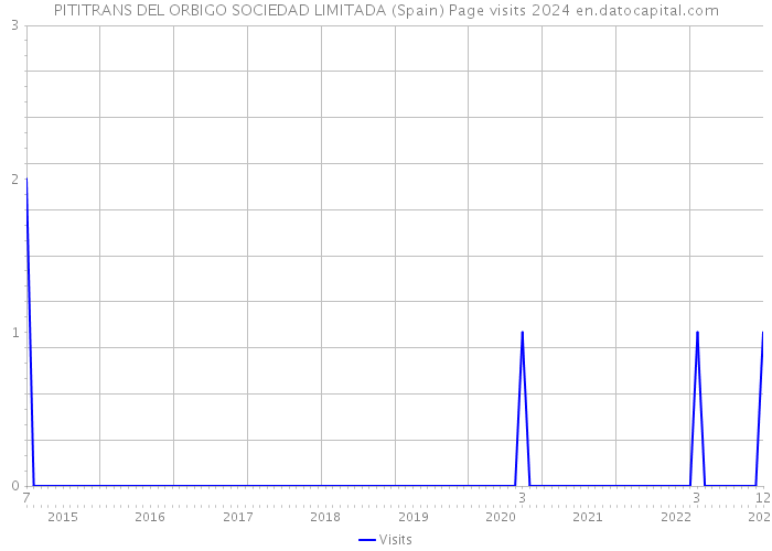 PITITRANS DEL ORBIGO SOCIEDAD LIMITADA (Spain) Page visits 2024 