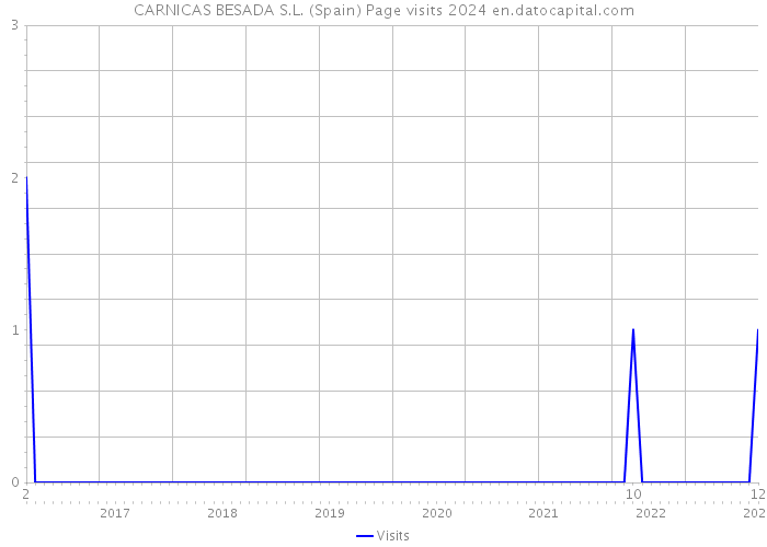 CARNICAS BESADA S.L. (Spain) Page visits 2024 