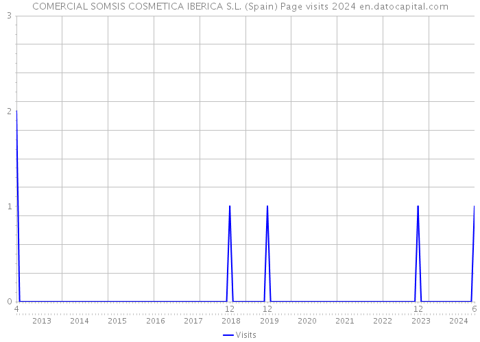 COMERCIAL SOMSIS COSMETICA IBERICA S.L. (Spain) Page visits 2024 