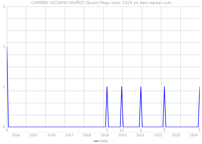CARMEN VIZCAINO MUÑOZ (Spain) Page visits 2024 