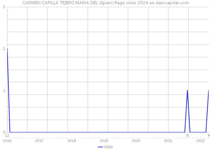 CARMEN CAPILLA TEJERO MARIA DEL (Spain) Page visits 2024 