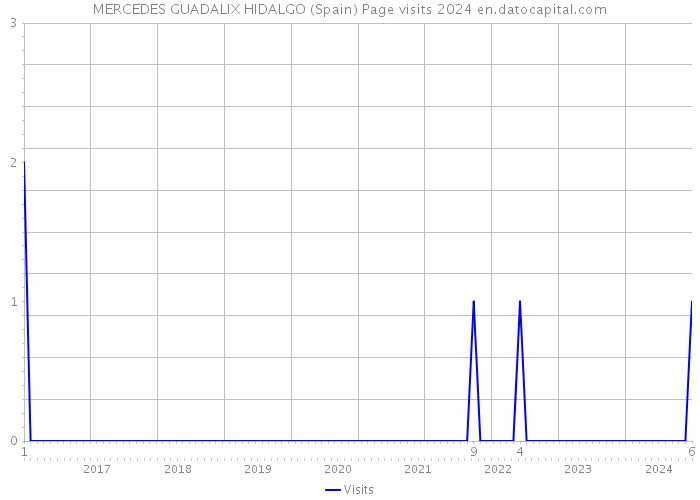 MERCEDES GUADALIX HIDALGO (Spain) Page visits 2024 