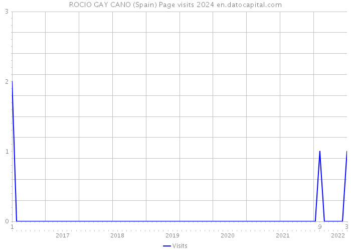 ROCIO GAY CANO (Spain) Page visits 2024 
