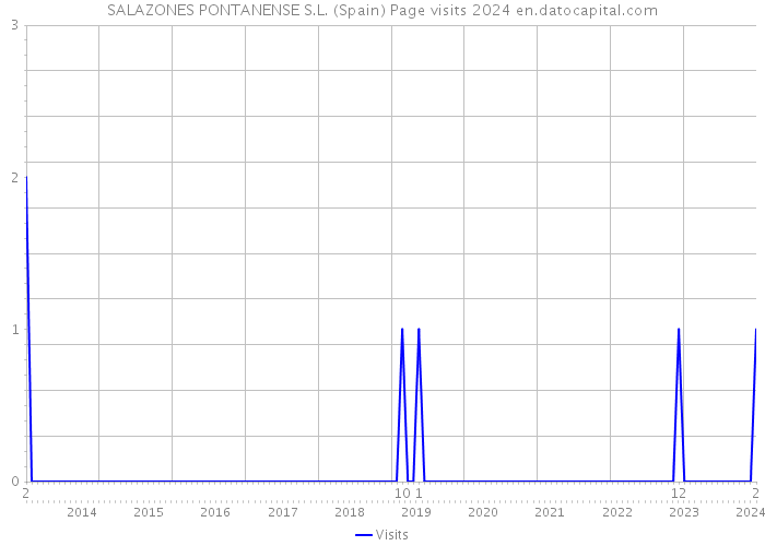 SALAZONES PONTANENSE S.L. (Spain) Page visits 2024 