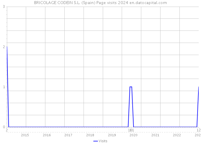 BRICOLAGE CODEIN S.L. (Spain) Page visits 2024 
