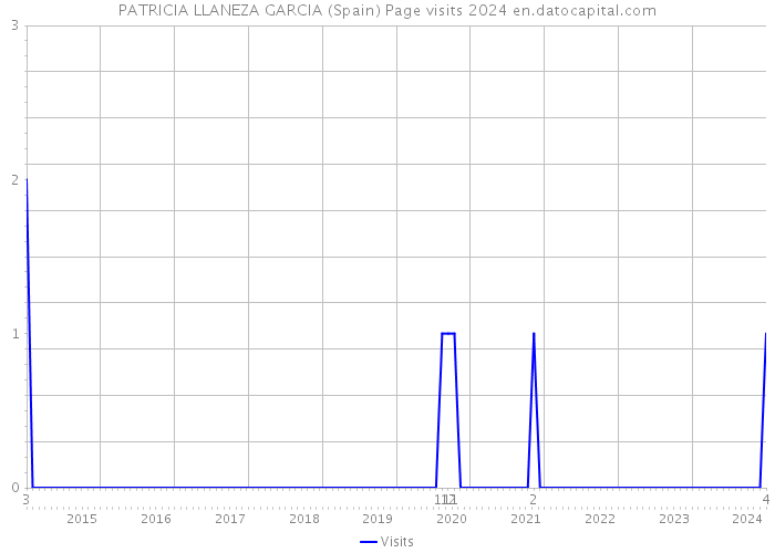 PATRICIA LLANEZA GARCIA (Spain) Page visits 2024 