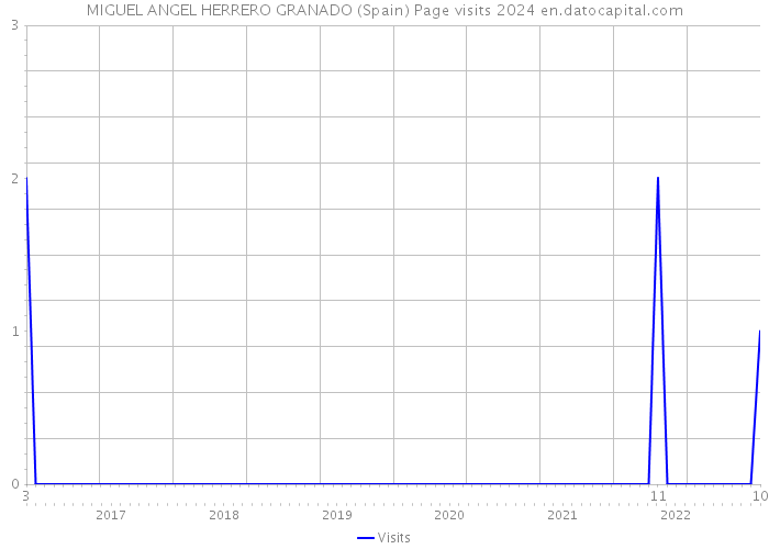 MIGUEL ANGEL HERRERO GRANADO (Spain) Page visits 2024 