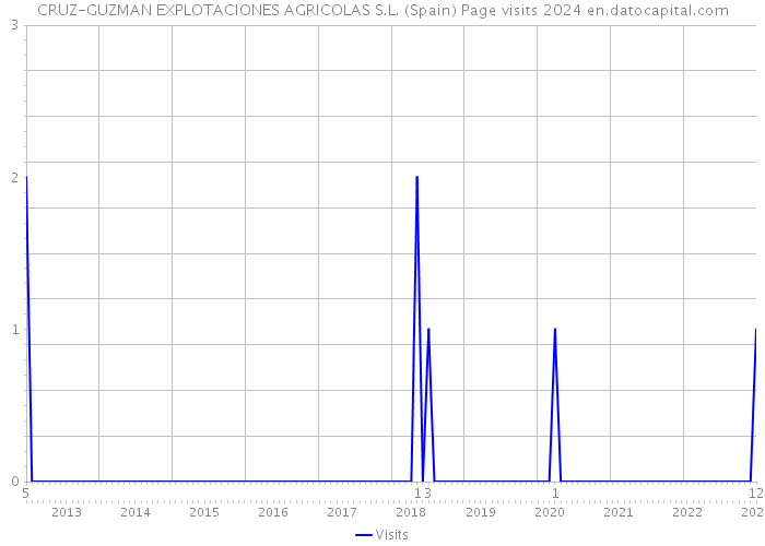 CRUZ-GUZMAN EXPLOTACIONES AGRICOLAS S.L. (Spain) Page visits 2024 